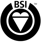BSI Logo